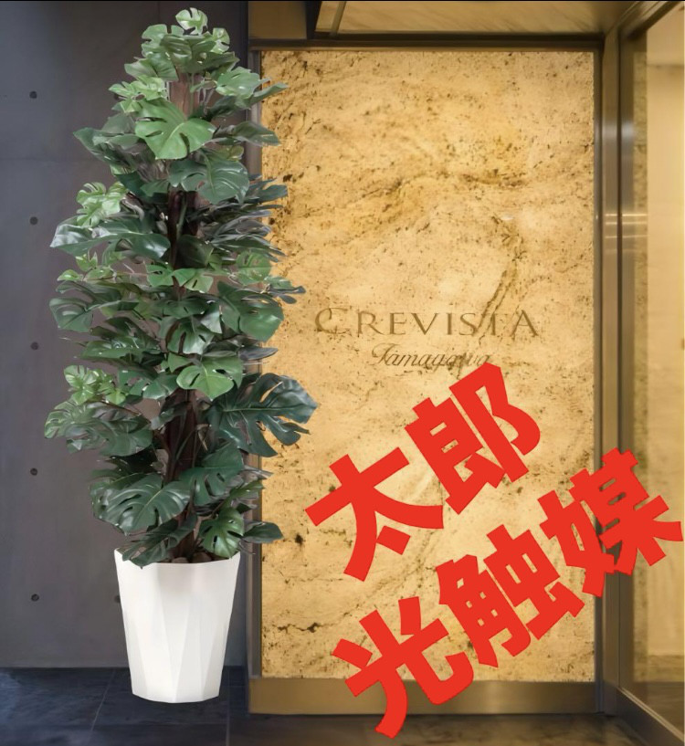 光触媒 人工観葉植物 ウォールグリーン フェイクグリーン レモンツリー