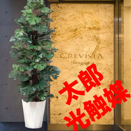 光触媒人工観葉植物ウォールグリーンフェイクグリーンスプリット1.35m