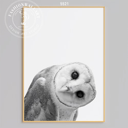 アートポスター ふくろう 動物 モノトーン 写真風 ミニマリスト
