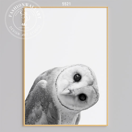 アートポスター ふくろう 動物 モノトーン 写真風 ミニマリスト
