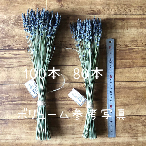 ５５％以上節約 特価】ラベンダー ロング ナチュラル スワッグ 40cm その他