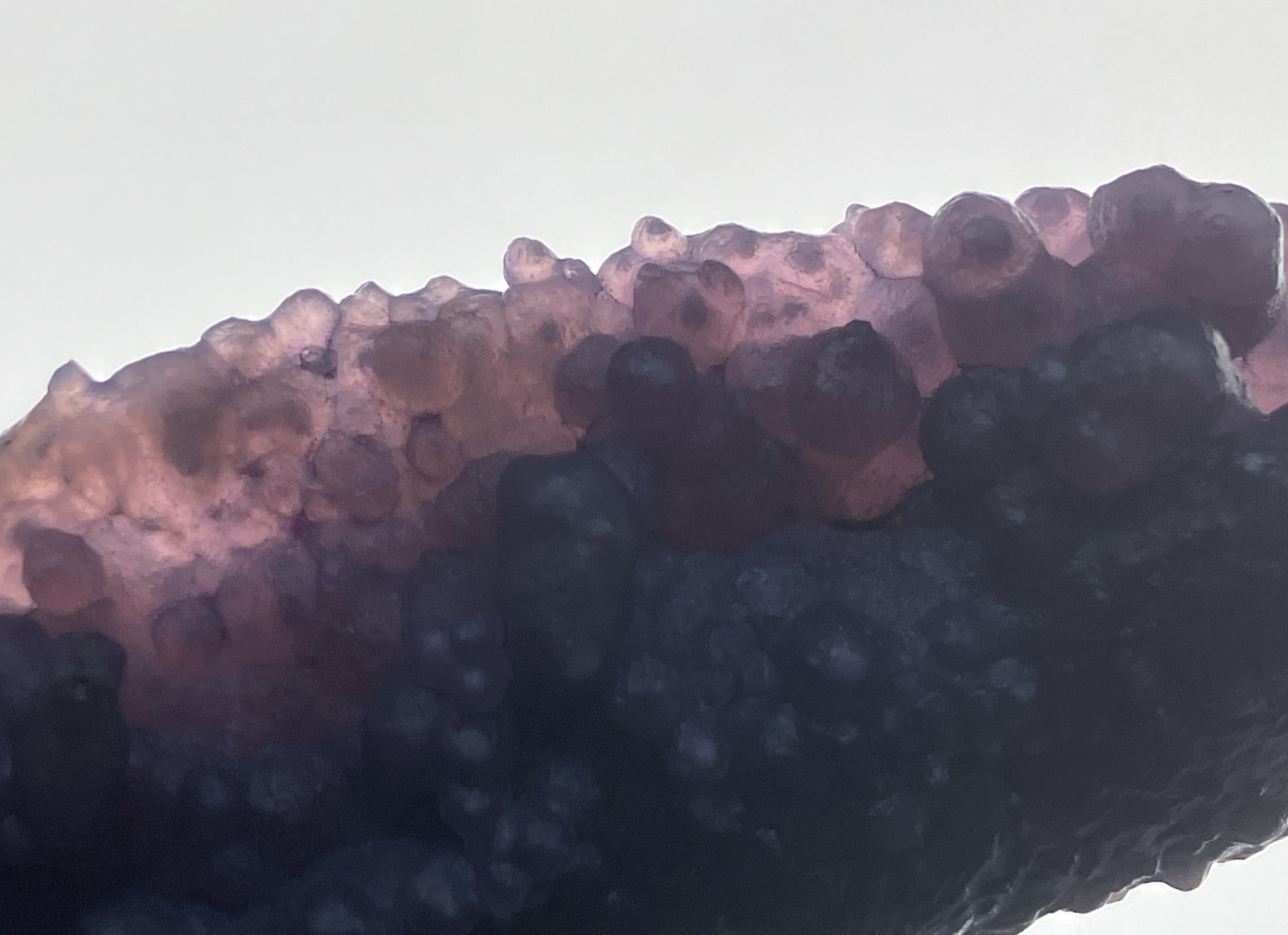 グレープアゲート　ワンドタイプ　長さ11.5cm