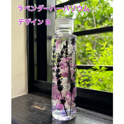 2add0eed687544d82d3a43348915d1