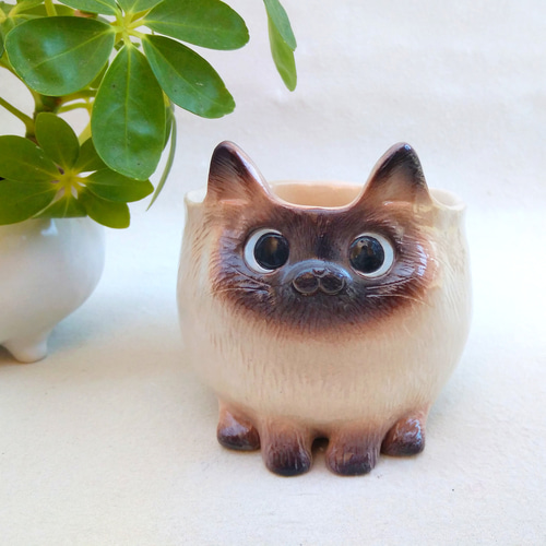 丸モ高木陶器 温感マグカップ ゆる猫マグカップ(1) 猫 猫柄