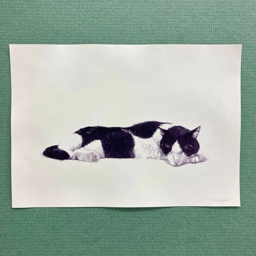 色鉛筆画 A4 ハチワレ猫127 色鉛筆画 猫 A4 色鉛筆画 A4 ハチワレ猫125