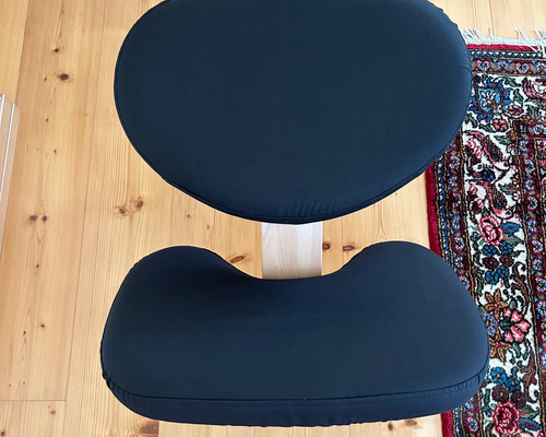 ⭐︎黒無地⭐︎ バランスラボ社 バランスチェア バランスイージー