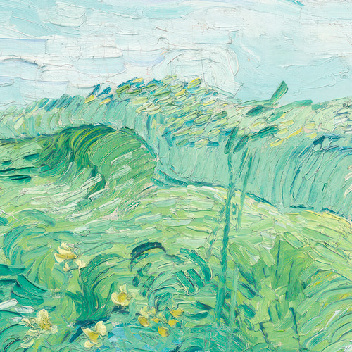 ゴッホ アートポスター グリーン「Green Wheat Fields, Auvers