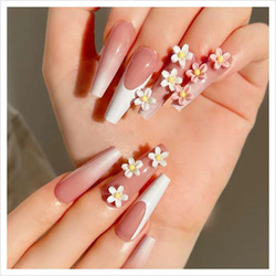 737e611a7879cda6fd1550eacae11d