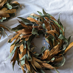 受注制作 】ユーカリとコニファーのフレッシュリース＊* リース Chêne