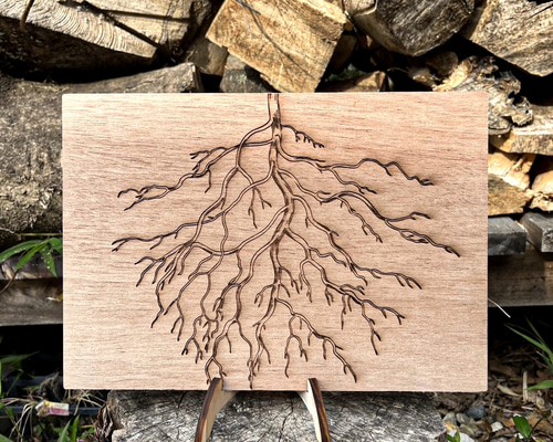 画材 cocoro 画材 cocoro 画材 cocoro Amazon | KN企画 ライブディオZX