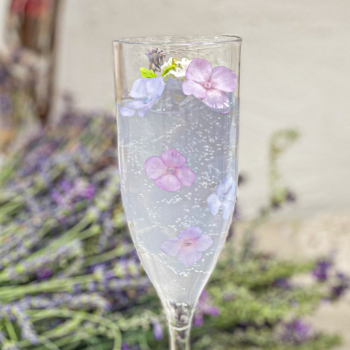 爽やかシュワシュワ紫陽花ゼリー/エディブルフラワー/クレイフラワー