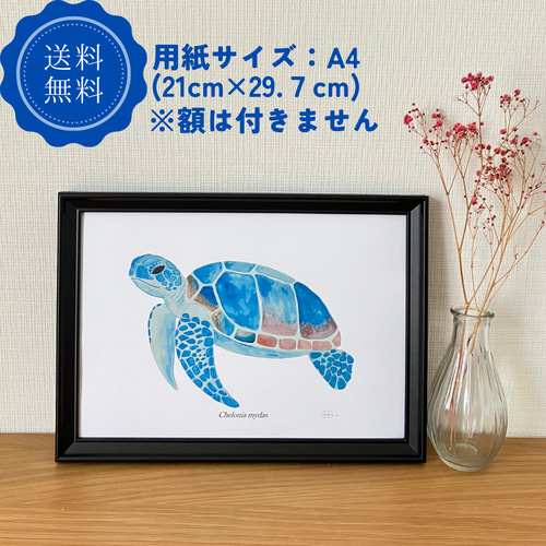 【在庫あり/即出荷可】 おしゃれ ポストカード アート カメ イラスト デザイン アート・デザイン・音楽