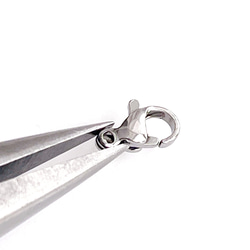 ess102 [10 件] 約。 10*5.5mm 龍蝦爪扣，醫用不鏽鋼 第3張的照片