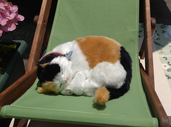 トヨタのネコ家具☆　ネコ用デッキチェア「うたたね」 うたたね カラーバリエーション