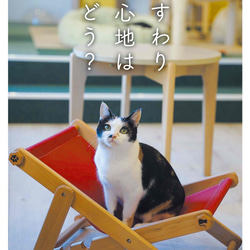 【♥︎】かわいい猫の装飾品、居心地の良い家庭用家具 楽天市場】☆レビューで特典☆ネコファミリーソファーセット