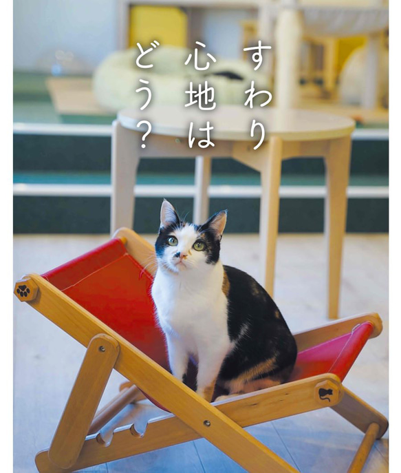 トヨタのネコ家具☆　ネコ用デッキチェア「うたたね」 うたたね カラーバリエーション