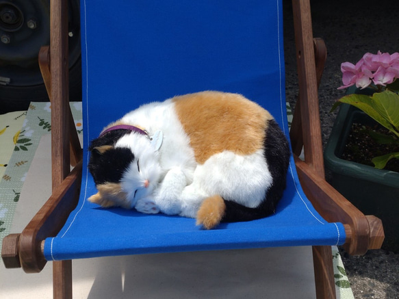 トヨタのネコ家具☆　ネコ用デッキチェア「うたたね」 うたたね カラーバリエーション