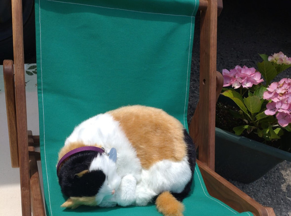 トヨタのネコ家具☆　ネコ用デッキチェア「うたたね」 うたたね カラーバリエーション