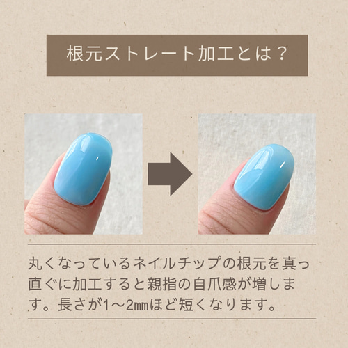 ネイルチップ ネイルチップ（つけ爪） nacca. 通販 17860260