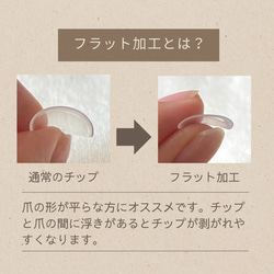 ネイルチップ 4枚目の画像