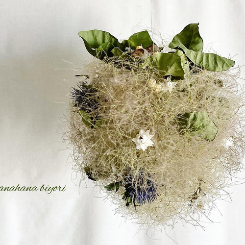 ふわふわスモークツリー　フライングボールリース 採れたてスモークツリー フライングリース ボール | iichi 日々の