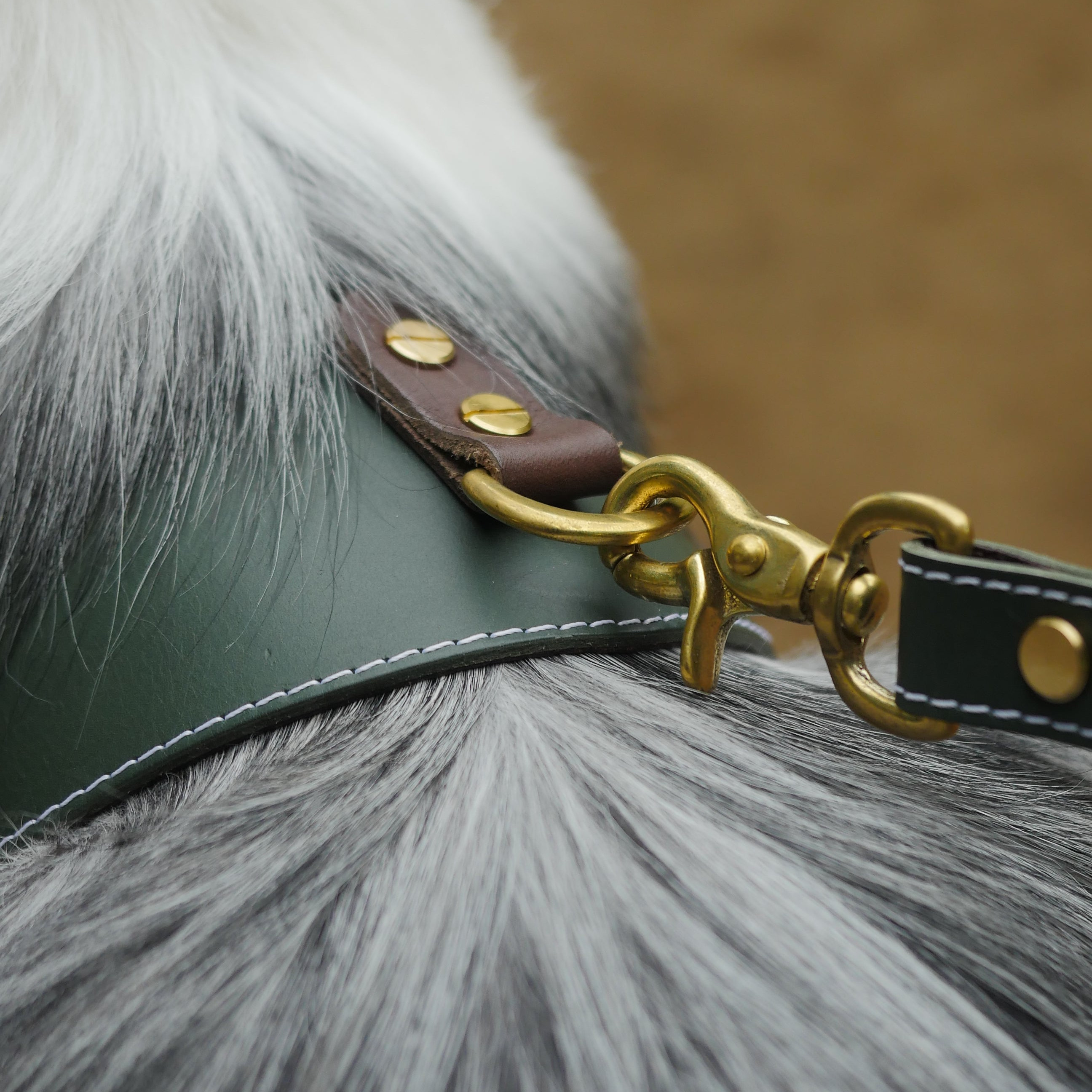 姫路レザー ノルウェージャン 犬用ハーネス カラーシリーズ 【小型～中型犬サイズ】