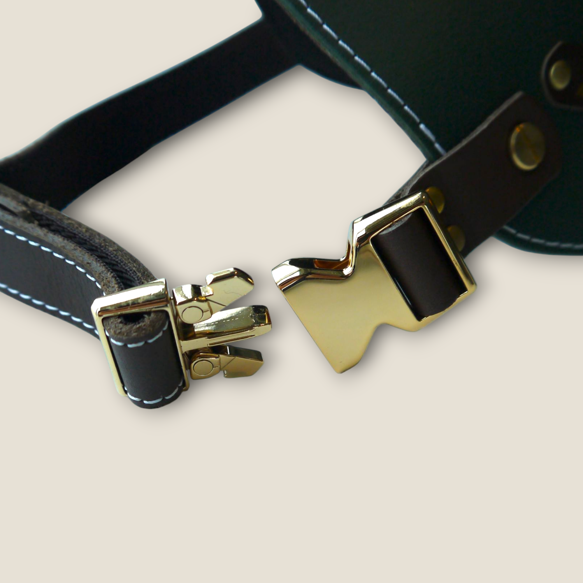 姫路レザー ノルウェージャン 犬用ハーネス カラーシリーズ 【小型～中型犬サイズ】