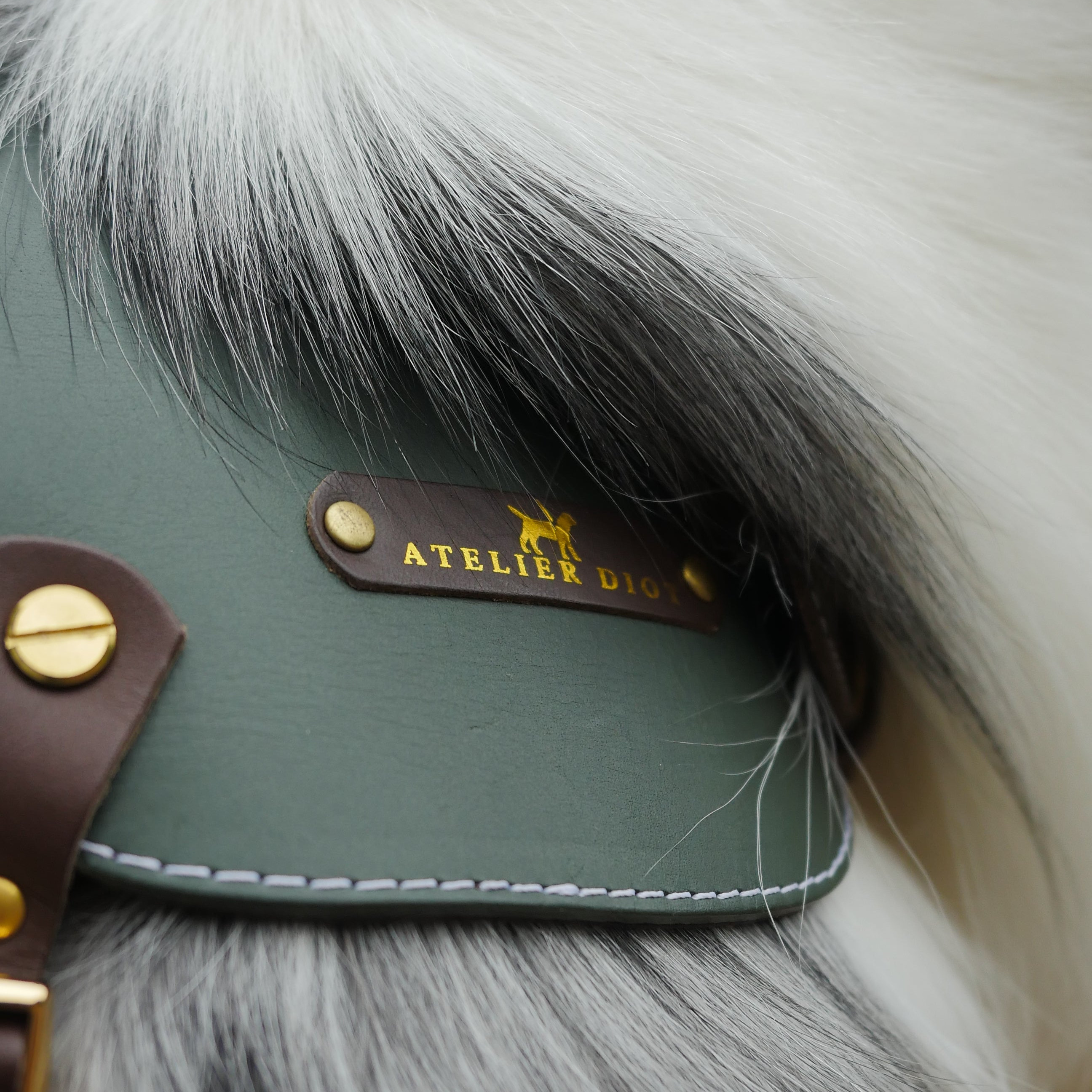 姫路レザー ノルウェージャン 犬用ハーネス カラーシリーズ 【小型～中型犬サイズ】