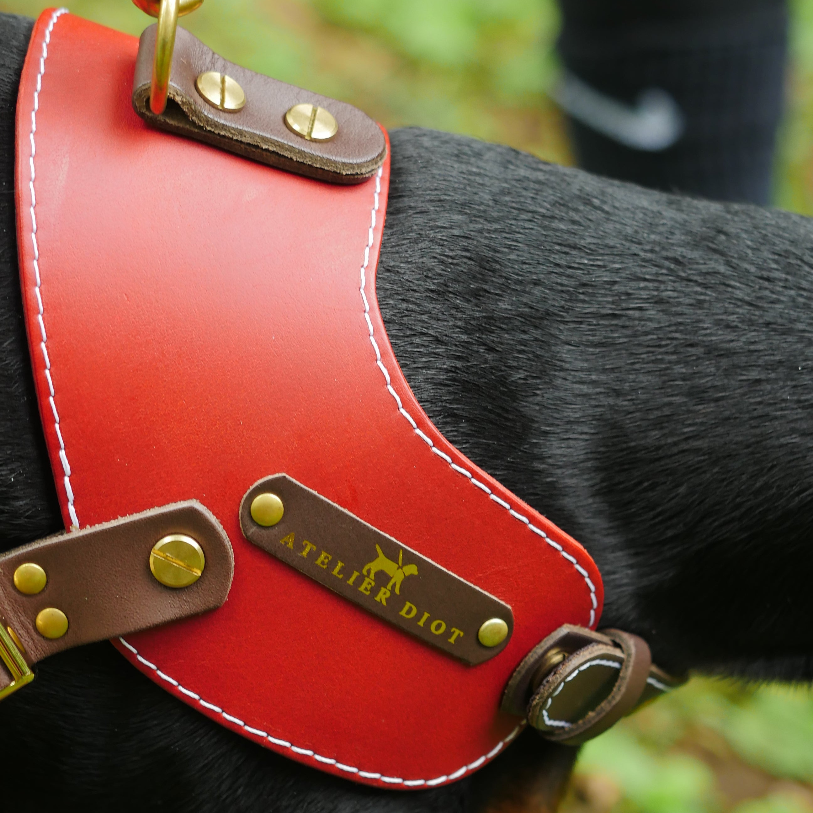 姫路レザー ノルウェージャン 犬用ハーネス カラーシリーズ 【小型～中型犬サイズ】