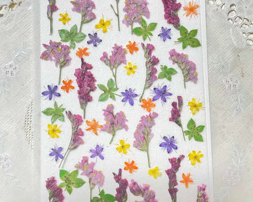 花乙女コレクション【押し花額　阿部とも　押し花・切手風】 花乙女コレクション【押し花額 阿部とも 押し花・切手風