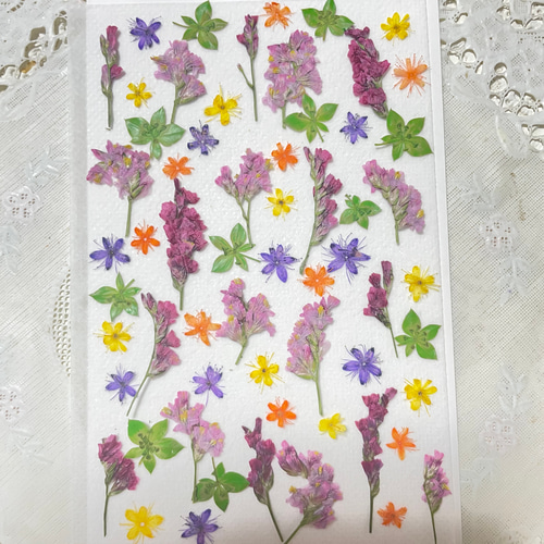 資格もとれる 押し花｜仙川カルチャーセンター｜ステイヒルズ
