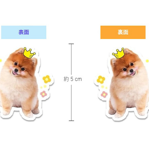 ラビ☆犬・猫・うさぎ・ペット似顔絵イラストキーホルダー ラビ