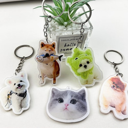 めぐ★犬・猫・うさぎ・ペット似顔絵イラストキーホルダー めぐ☆犬・猫・うさぎ・ペット似顔絵イラストキーホルダー