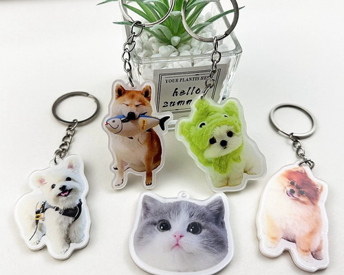 ラビ★犬・猫・うさぎ・ペット似顔絵イラストキーホルダー nayu✩様専用☆犬・猫・うさぎ・ペット似顔絵ハクビシンイラスト