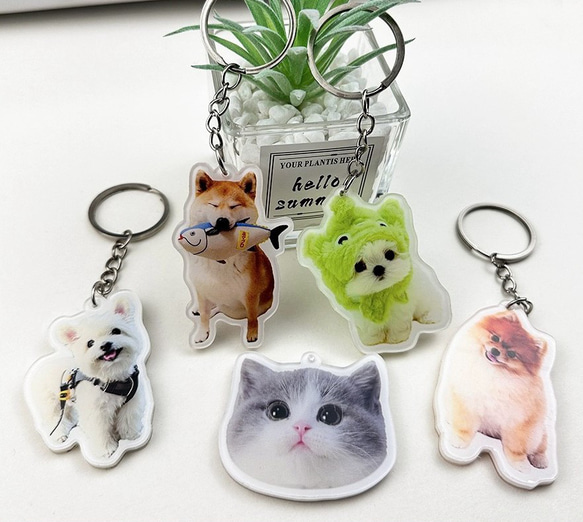 うちの子 アクリルキーホルダー 犬 猫 うさぎ ハムスター プチ