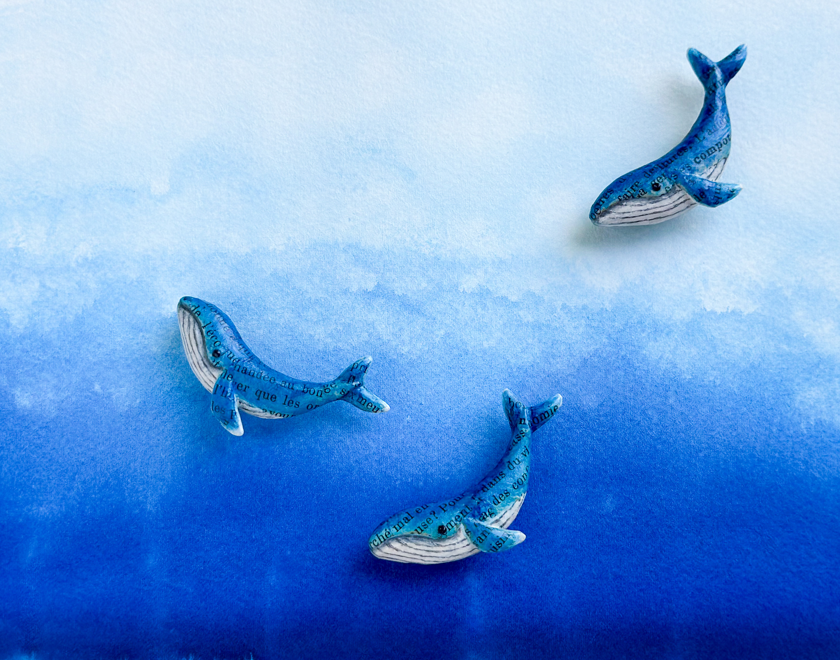 小さなクジラのブローチ（ボックス付き）        Ω