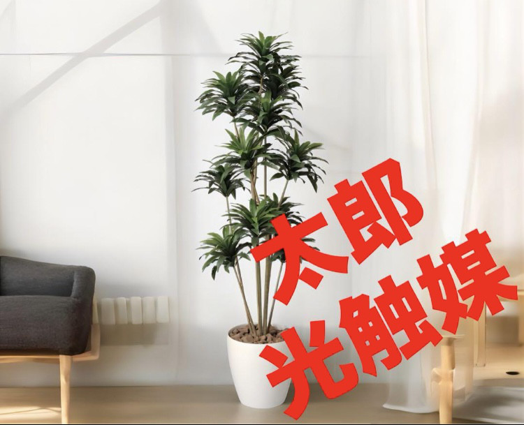光触媒　人工観葉植物　ウォールグリーン　フェイクグリーン　ドラセナコンパクタ1.6