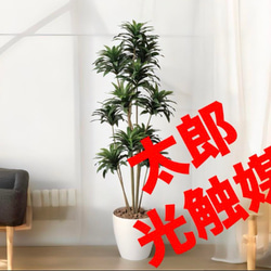 光触媒人工観葉植物ウォールグリーンフィカスグリーンフィカスフロリス