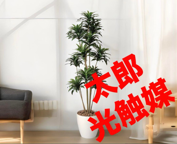 光触媒 人工観葉植物 フェイクグリーン ドラセナコンパクタ1.6