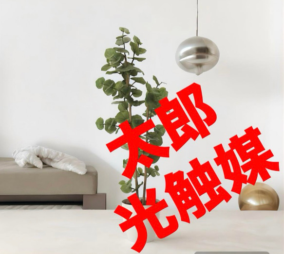 光触媒 人工観葉植物 ウォールグリーン フェイクグリーン シー