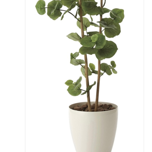 光触媒　人工観葉植物　ウォールグリーン　フェイクグリーン　シーグレープ1.6ｍ@ 光触媒 人工観葉植物 ウォールグリーン フェイクグリーン シー