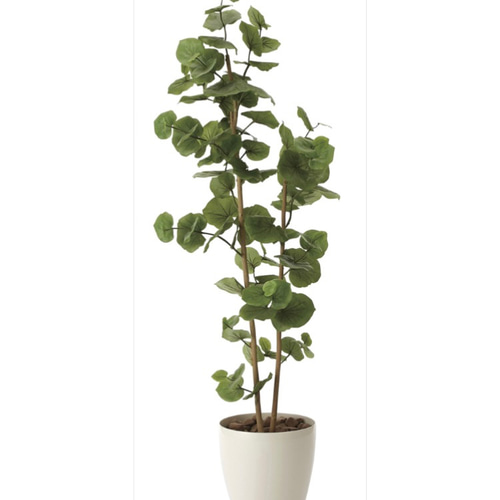 光触媒　人工観葉植物　ウォールグリーン　フェイクグリーン　シーグレープ1.6ｍ@ 光触媒 人工観葉植物 ウォールグリーン フェイクグリーン シーグレープ