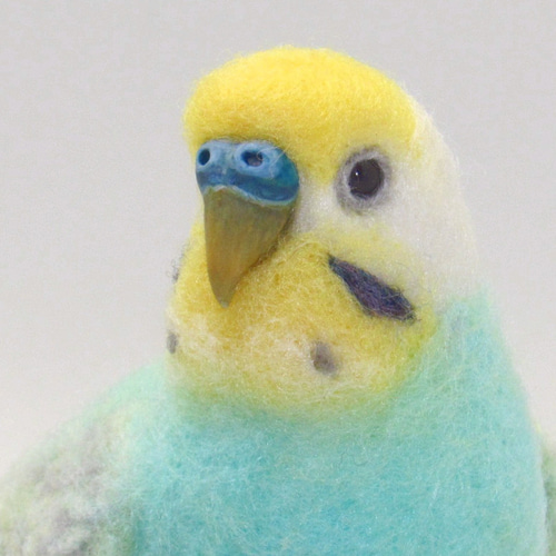 飼ってます缶バッジ 「セキセイインコ レインボー