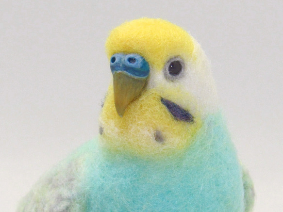 本トリ No.113 セキセイインコ レインボー 4号 / 羊毛フェルト 本トリ No.113 セキセイインコ レインボー 4号 / 羊毛フェルト