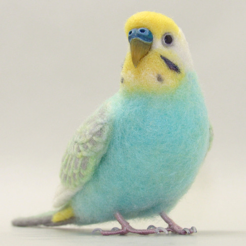 羊毛フェルト　セキセイインコ 羊毛フェルトの小鳥 セキセイインコができるまで - YouTube