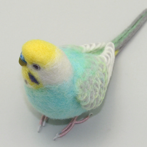 【真緒ページ】「カラフルインコさん」 「サッカーしようよ」 手乗り・セキセイインコ(パイド・ブルー) | 埼玉県のペット