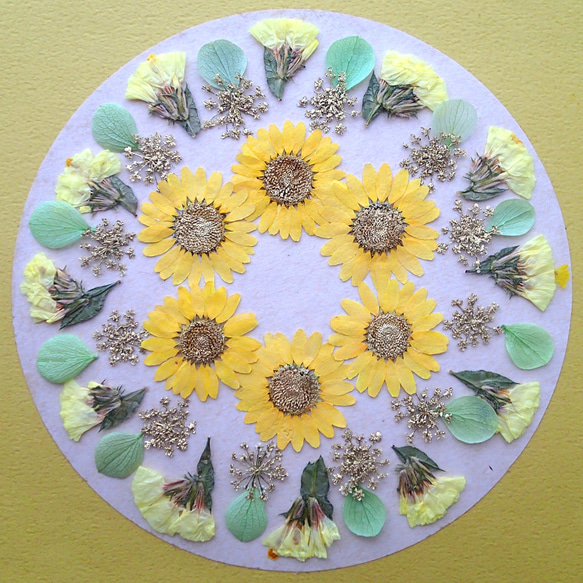 押し花セット④＜ノースポール＆スターチスレースフラワー他＞ その他