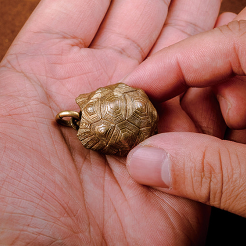 亀の甲羅風骨製装飾品セット すっぽんの甲羅 亀の甲羅風骨製装飾品セット すっぽんの甲羅