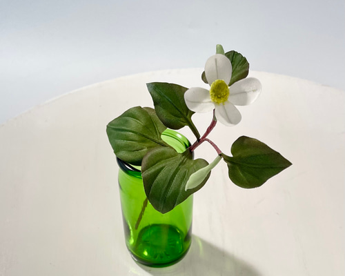 9740ca7ae8564328a27a420aec7eb6