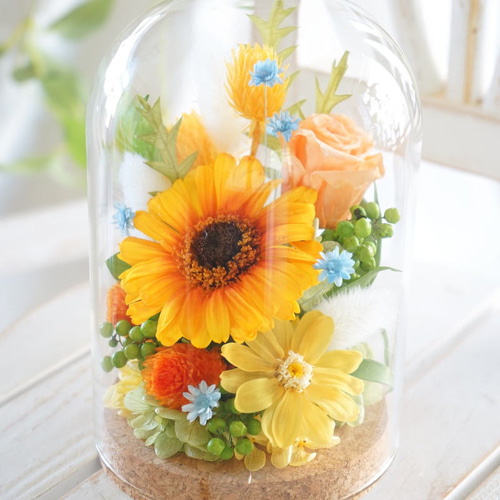 ガラスドームフラワー】イエローガーベラのアレンジ～プリザーブド